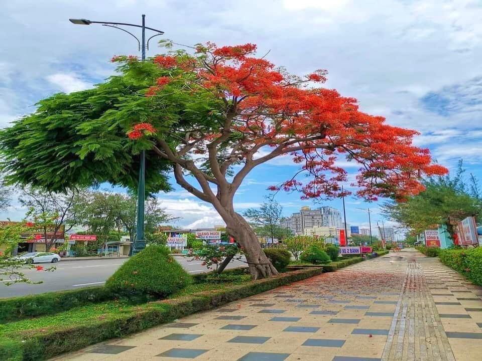 VUI CHƠI VŨNG TÀU 2 NGÀY 1 ĐÊM THẾ NÀO
