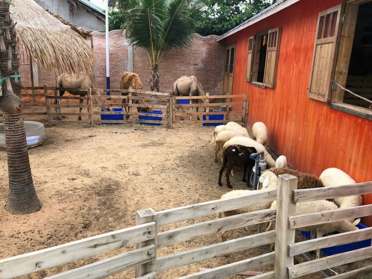 THUÊ XE 29 CHỖ ĐI PHAN THIẾT- MŨI NÉ TẠI TPHCM THUÊ XE 29 CHỖ ĐI PHAN THIẾT- MŨI NÉ TẠI TPHCM