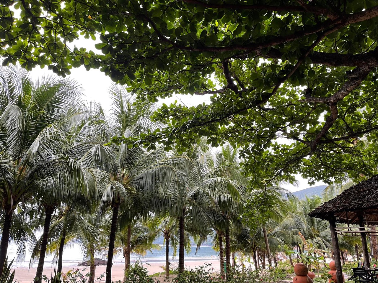 Côn Đảo Thiên Đường Biển Đảo "Ảo Diệu Côn Đảo Thiên Đường Biển Đảo "Ảo Diệu